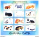 Delcampe - Fauna. Gatti 1994. - Ghana (1957-...)