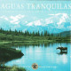 Mick Lloyd - Aguas Tranquilas. CD - New Age