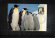 Australian Antarctic Territory 1993 Antarctica - Base Davis - Penguins - Bases Antarctiques