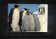 Australian Antarctic Territory 1993 Antarctica - Base Davis - Penguins - Research Stations