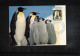 Australian Antarctic Territory 1992 Antarctica - Base Davis - Ship Aurora Australis + Icebird - Penguins - Onderzoeksstations