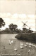 72274961 Greetsiel Muehlen Enten Krummhoern - Krummhörn