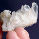 #E53 Splendido QUARZO Cristalli (Castagnola, Val D'Aveto, Piacenza, Emilia Romagna, Italia) - Mineralien