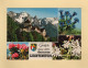 Liechtenstein - 1971 - Furstentum Liechtenstein Scloss Vaduz - Storia Postale