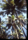 Delcampe - 30 SLIDES SET INDIA GOA DAMAN DAMAO DIU ORIGINAL AMATEUR 17 Mm DIAPOSITIVE SLIDE No PHOTO FOTO - Diapositives