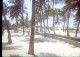 Delcampe - 30 SLIDES SET INDIA GOA DAMAN DAMAO DIU ORIGINAL AMATEUR 17 Mm DIAPOSITIVE SLIDE No PHOTO FOTO - Diapositives