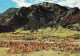 73964433 Lenggries Panorama Blick Gegen Brauneck Bayerische Alpen - Lenggries
