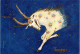 16-3-2024 (3 Y 15) Australia - Zodiac Sign - TAURUS - Taureaux