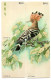 Oiseau Hupppé Faciée Bird  - Puzzle 4  Télécartes Chine China Phonecard  Telefonkarte (P 43) - Cina