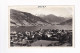 E5689) ZELL Am SEE - S/W FOTO AK - Monopol 13805 - Zell Am See