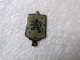 PIN'S     MILITARIA   34 ème  G R P T - Militaria