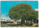 Australia QUEENSLAND QLD Knowledge Tree War Memorial ROMA Murray Views W5 Postcard C1970s - Other & Unclassified