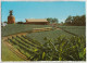 Australia QUEENSLAND QLD Train Big Pineapple Plantation NAMBOUR Murray Views W104 Postcard C1970s - Sunshine Coast