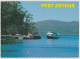Australia TASMANIA TAS Ohara Booth Tourist Boat PORT ARTHUR Douglas DS122 Postcard C1970s - Port Arthur