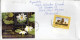 Philatelic Envelope With Stamps Sent From PORTUGAL To ITALY - Cartas & Documentos