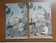 Delcampe - Doos Met 629 Oude Postkaarten: Wens - Fantasie - Humor (zie Enkele Foto's) 2kg400 - 500 CP Min.