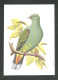 Oiseau Colombe Colombar De Sao Tomé  Entier Postal Sao Tome Et Principe 1979  Bird Green Pigeon Stationery St Thomas - Duiven En Duifachtigen