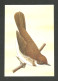 Oiseau Sylvia Dohrni Carte Entier Postal Sao Tome Et Principe 1983 Bird Postal Stationery St Thomas & Principe - Pájaros Cantores (Passeri)