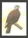 Oiseau Columba Thomensis Pigeon Entier Postal Sao Tome Et Principe 1983 Dove Bird Stationery St Thomas & Principe - Pigeons & Columbiformes