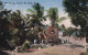 ST Kitts W.I. 3 Cards  Basseterre, Bridge Cayon ,  Church Street - Saint Kitts E Nevis