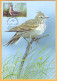 2015 Moldova Moldavie Moldau MAXICARD Birds From Moldovan Regions Block - Specht- & Bartvögel