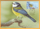2015 Moldova Moldavie Moldau MAXICARD Birds From Moldovan Regions 4.00 - Specht- & Bartvögel