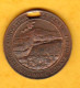 USA - Jeton - 50th Anniversary City Of Holyoke (Massachusetts) 1873-1923 - Médaille - Autres & Non Classés