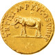 Titus, Aureus, 80, Rome, Or, NGC, XF 5/5 2/5, RIC:114 - Les Flaviens (69 à 96)