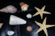 * Lot D'une Vingtaine De Coquillages Divers Et 2 étoiles De Mer - Seashells & Snail-shells