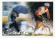 3 Cartes Postales PAP - Cyclisme - Evasion, Emotion, Sensation - Standard Postcards & Stamped On Demand (before 1995)