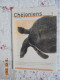 Cheloniens :  Revue De La Federation Francophone Pour L'Elevage Et La Protection Des Tortues (Mars 2009) No. 13 - Dieren