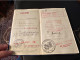 Italy, Kingdom, Travel Passport Issued By Nizza Consulate - Collections