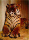 Animaux - Fauves - Tigre - Tiger - Zoo De La Palmyre - Royan - Tigre Du Bengale - CPM - Carte Neuve - Voir Scans Recto-V - Tijgers