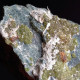 #I41 Andradit Granat Var. DEMANTOID Kristalle (Val Malenco, Sondrio, Italien) - Minéraux