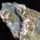 #I41 Andradit Granat Var. DEMANTOID Kristalle (Val Malenco, Sondrio, Italien) - Minerales