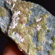 #I41 Andradit Granat Var. DEMANTOID Kristalle (Val Malenco, Sondrio, Italien) - Mineralien
