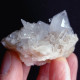 #L35 Splendido QUARZO Cristalli (Castagnola, Val D'Aveto, Piacenza, Emilia Romagna, Italia) - Mineralien