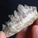 #L41 Splendid QUARTZ Crystals (Val D'Aosta, Italy) - Mineralien