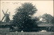 Ansichtskarte Graal-Müritz Lehrerteich - Windmühle 1916  - Graal-Müritz