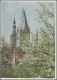 PP 5/1 Heuss 4 Pf. Frühlingsgruß Aus Soest ...blühen Die Bäume SSt Soest 23.4.54 - Private Covers - Mint