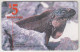 BAHAMAS - Great Iguana, Norman's Cay, Exuma, Chip:GEM5 (Red), 5 $, Used - Bahama's