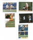 Y20935/ 14 Panini Bilder Sticker Tennis - Autres & Non Classés