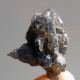 #T23 - Ungewöhnliche RAUCHQUARZ Kristalle (Victoria, Australien) - Mineralien