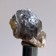 #T24 - Ungewöhnliche RAUCHQUARZ Kristalle (Victoria, Australien) - Minerales