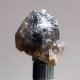 #T24 - Ungewöhnliche RAUCHQUARZ Kristalle (Victoria, Australien) - Mineralen