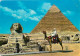 Egypte - Gizeh - Giza - The Great Sphinx And Khefren Pyramid - Chamelier - Chameaux - Voir Timbre - CPM - Voir Scans Rec - Gizeh