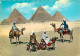 Egypte - Gizeh - Giza - Arabs Near Giza Pyramid Group - Chamelier - Chameaux - Voir Timbre - CPM - Voir Scans Recto-Vers - Guiza