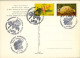 2003 , ED. 605 / 606 - FLORA , SETAS , BAYAS , MUSHROOMS  , MAT. PRIMER DIA , FDC , ANDORRA FRANCESA , SVV , ATM - FDC