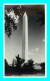 A924 / 549 WASHINGTON The Washington Monument - Sonstige & Ohne Zuordnung
