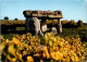 17-3-2024 (3 Y 21) France - Cognac  - Dolmen De Saint-Fort - Dolmen & Menhirs